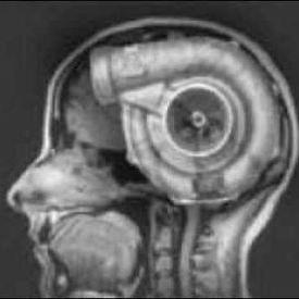 Profile of Michael Smith