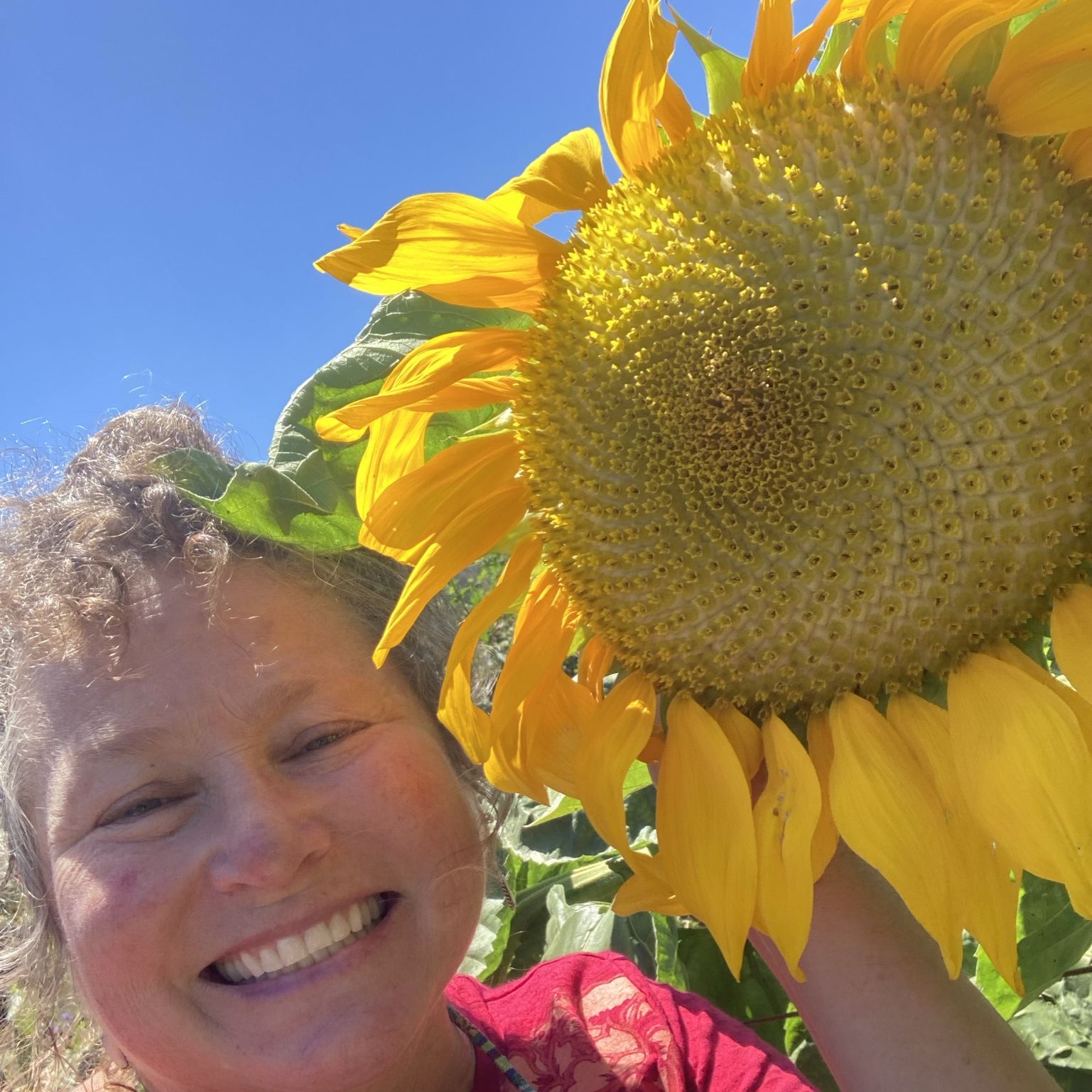 Profile of Crystal Digman