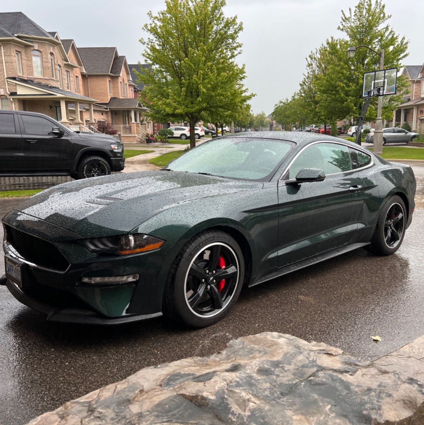 Profile of Tanya Therrien