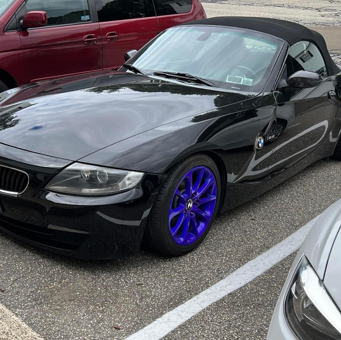 Profile of Nicole Colavolpe