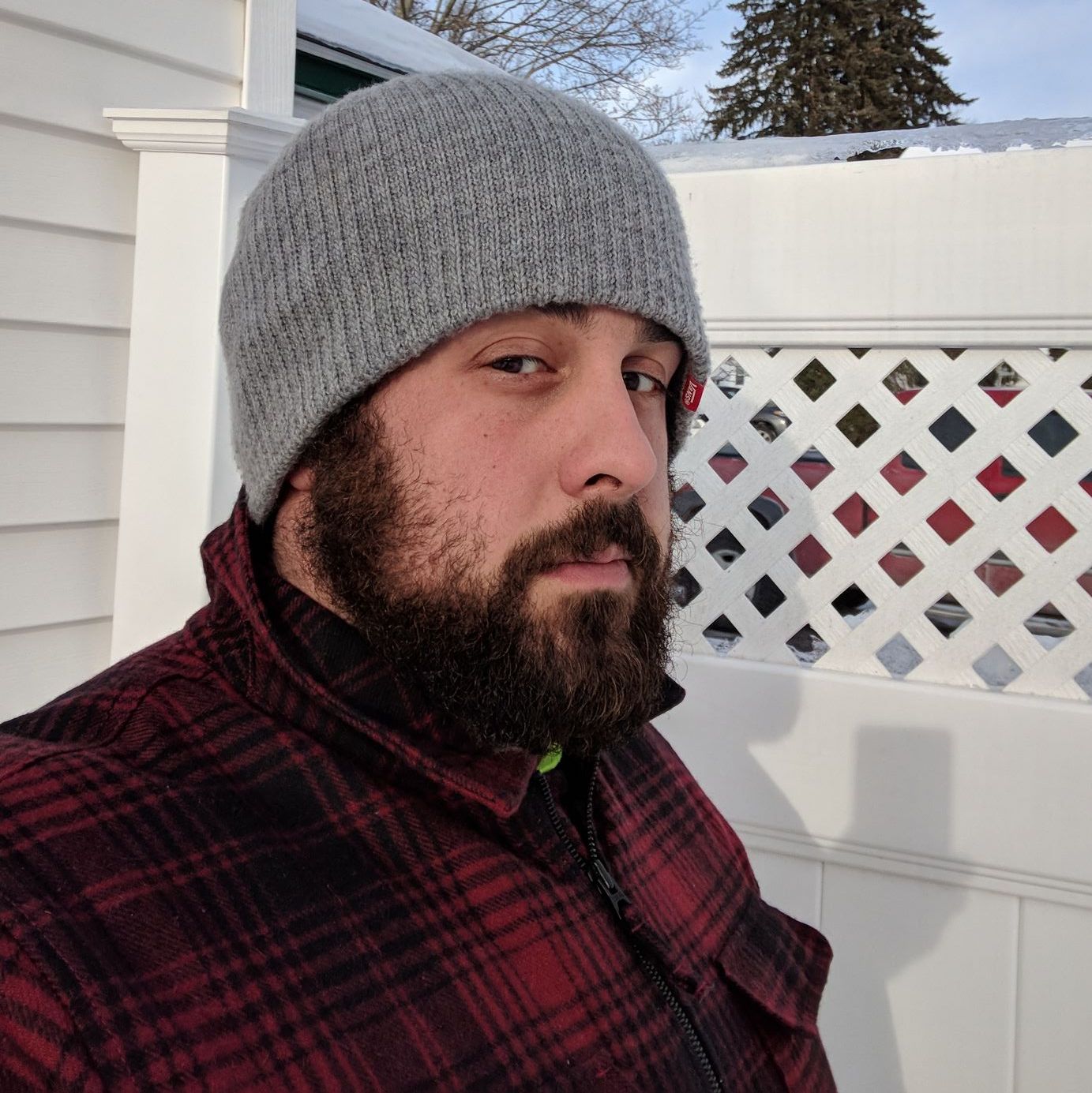 Profile of Dan Forlizzi