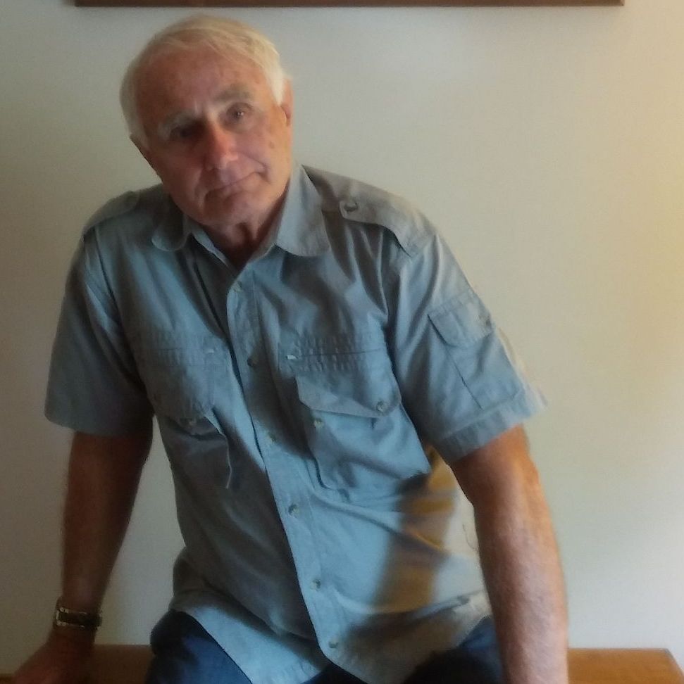 Profile of Allen Koca