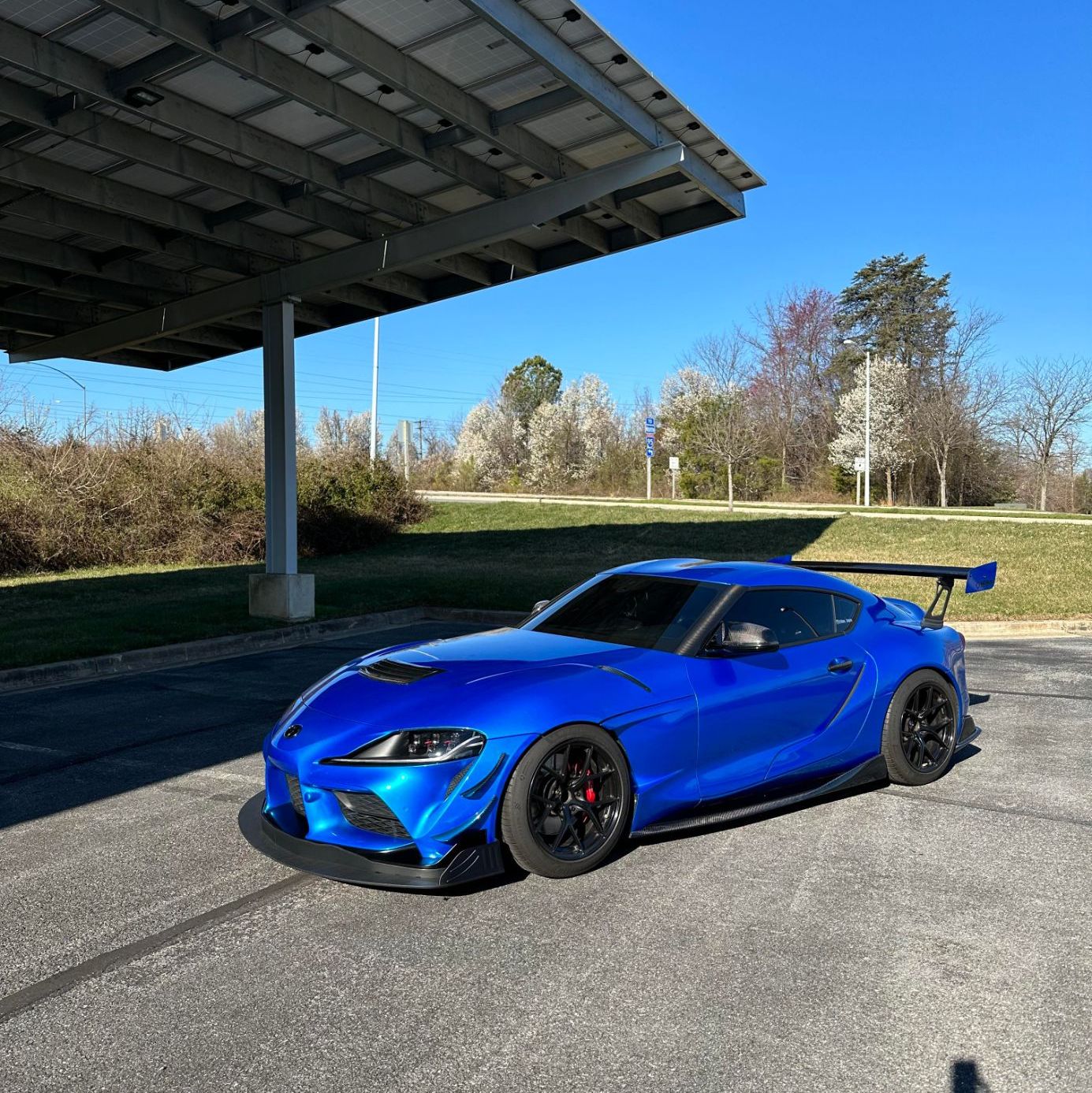 Profile of Jimmy Bui