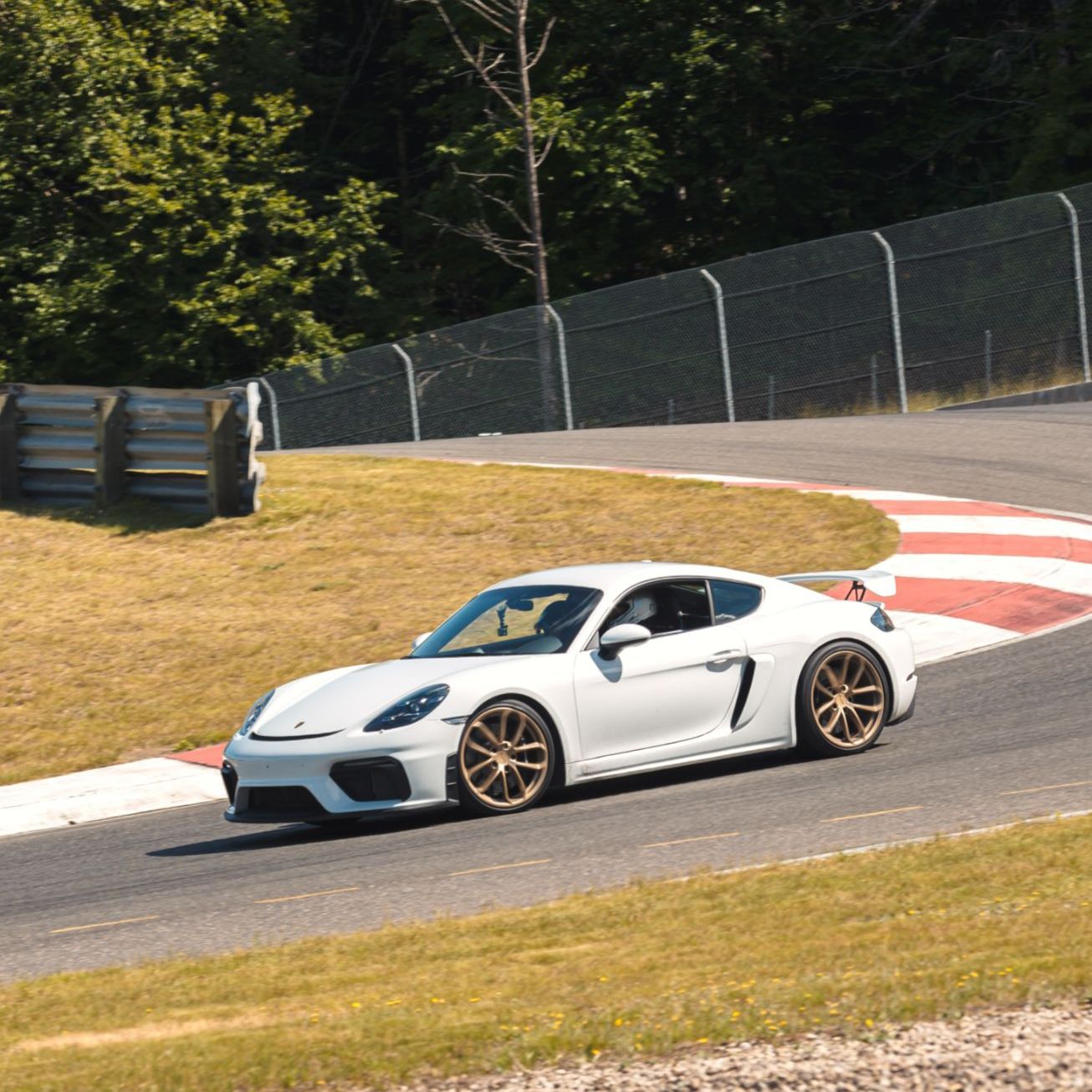 Profile of Enrico Scuotto