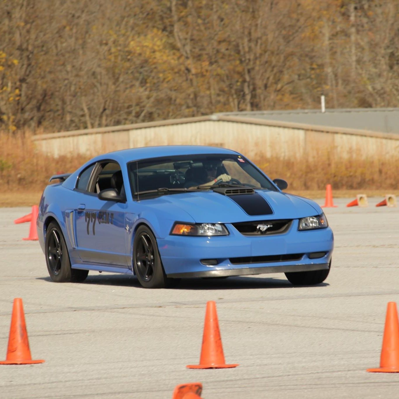 Profile of Daniel Fulk