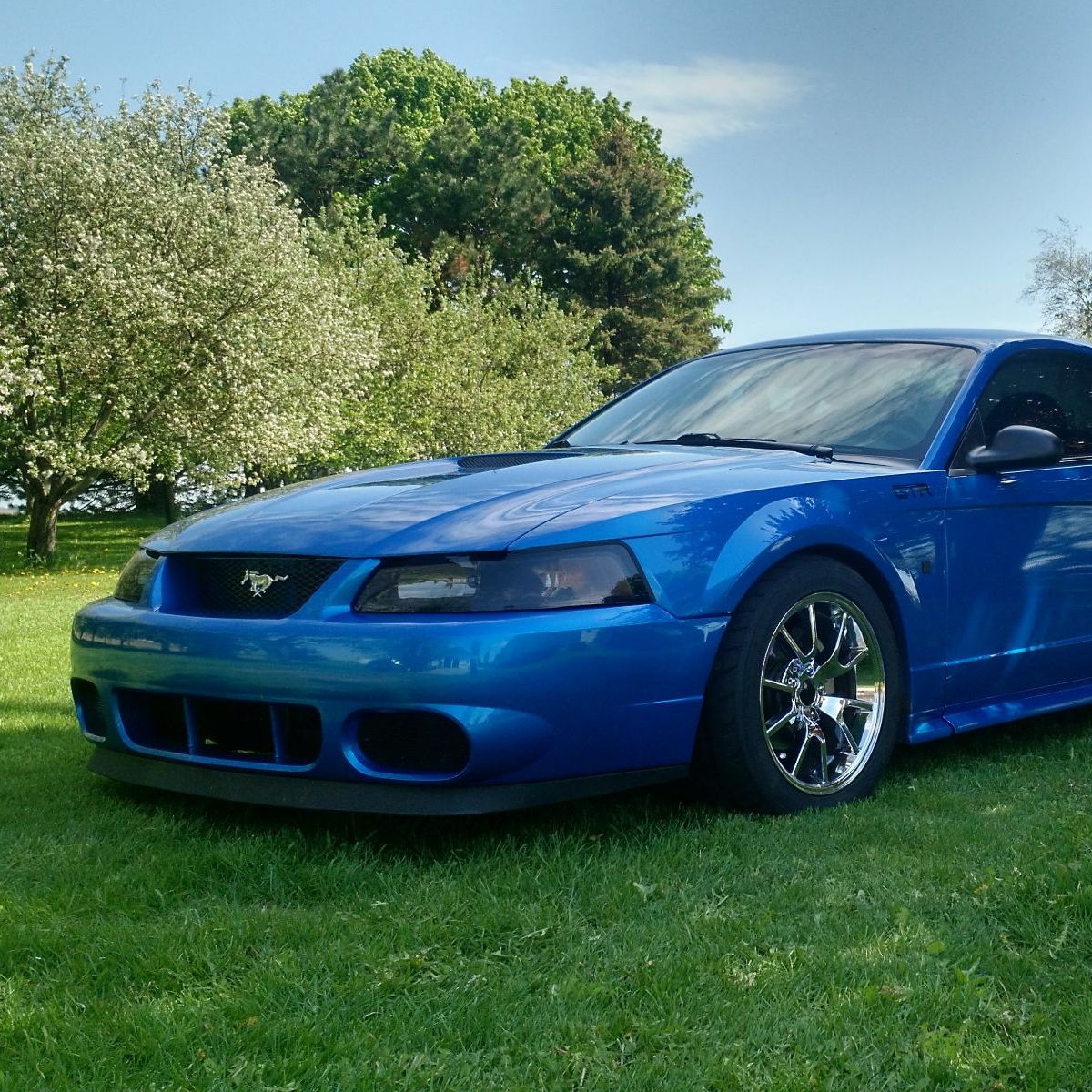 Profile of Tony Salentine