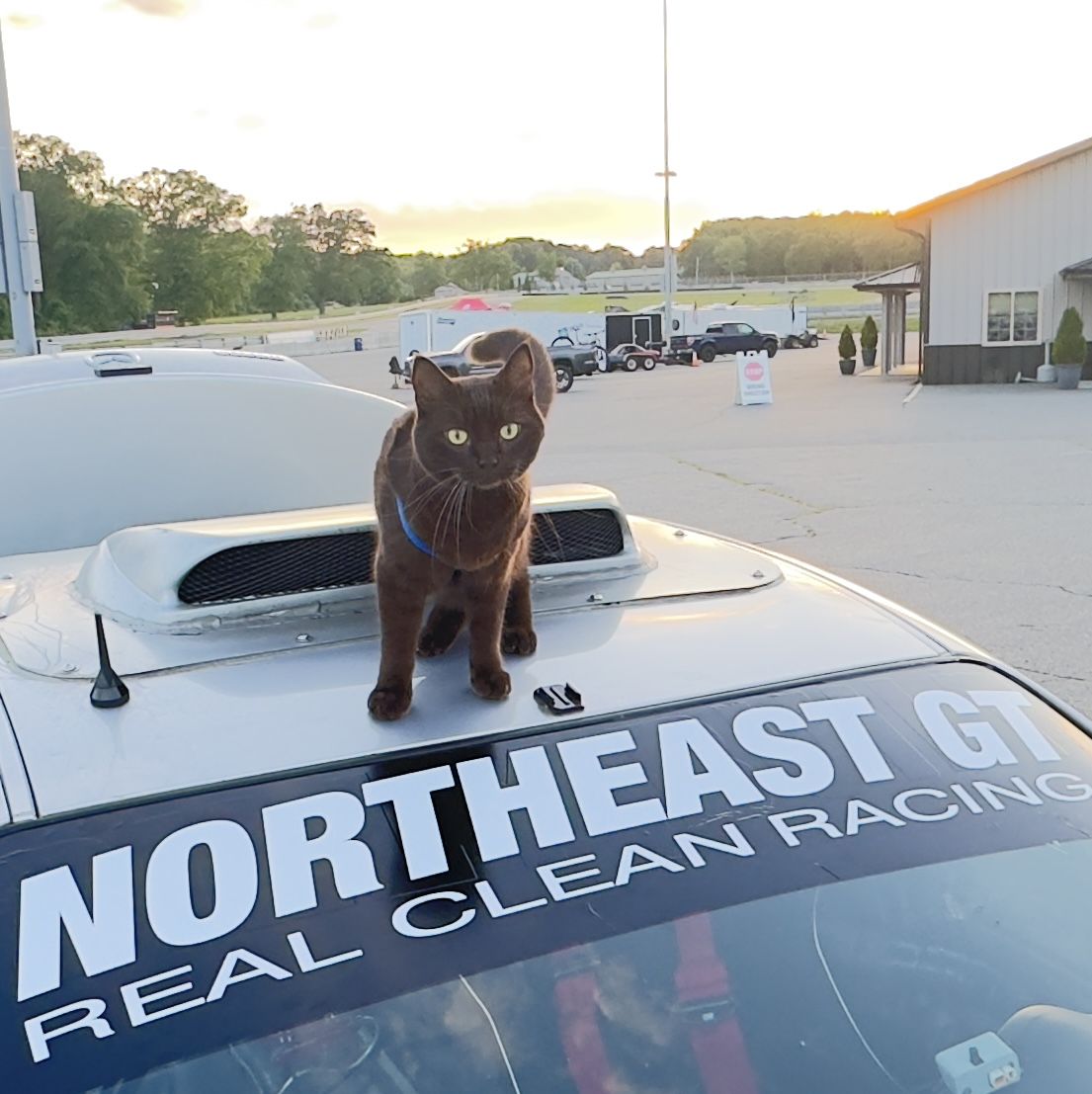 Profile of Two and a Half Men Racing T