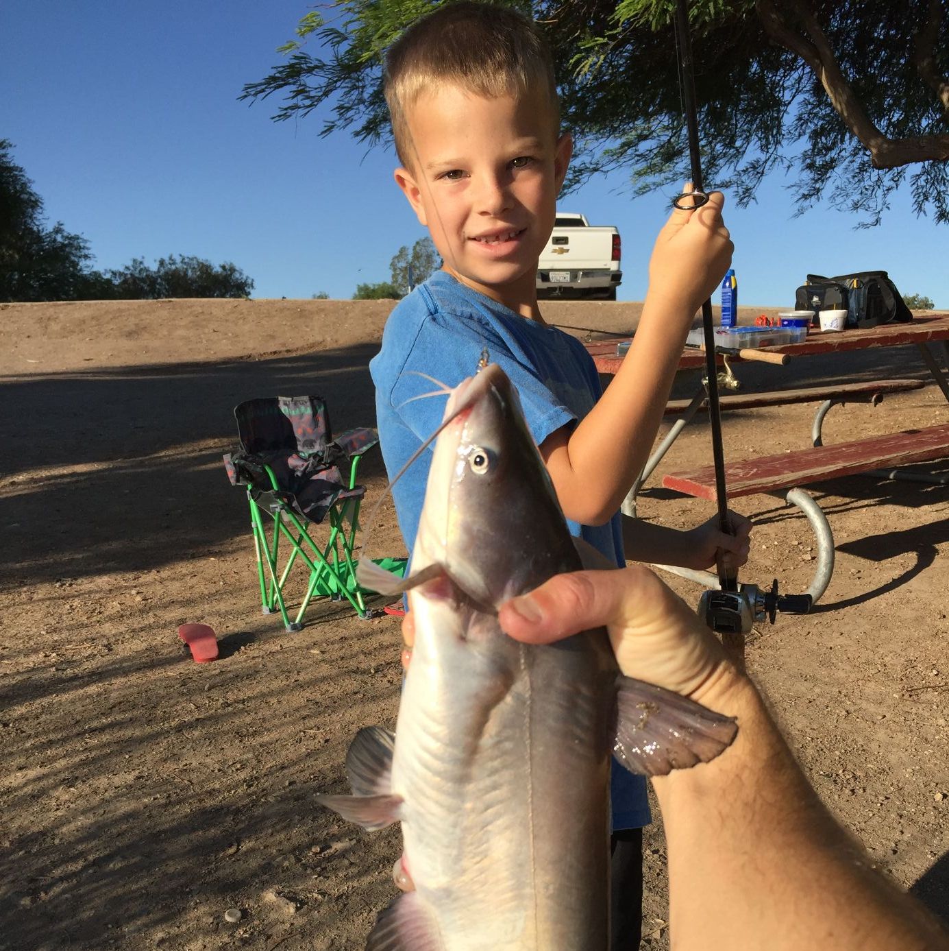 Profile of Chad Reed