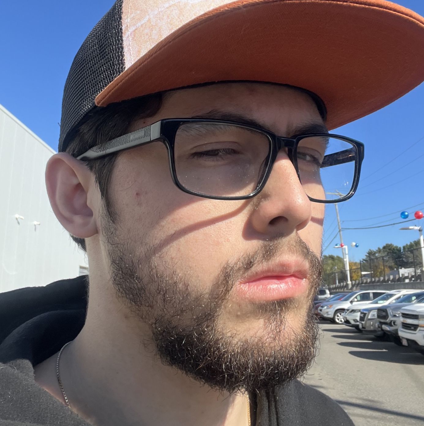 Profile of Luke Rodrigues