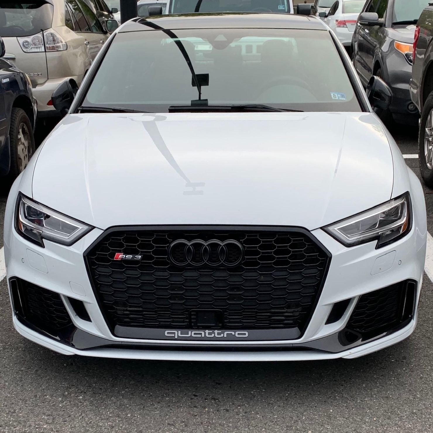 Profile of Arash Kalantarinia