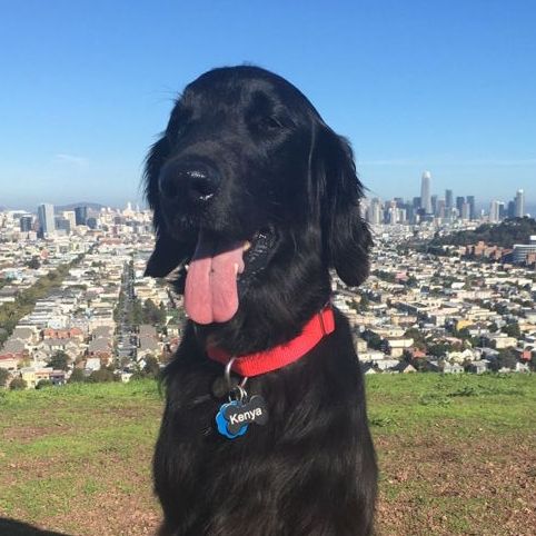 Profile of David Young