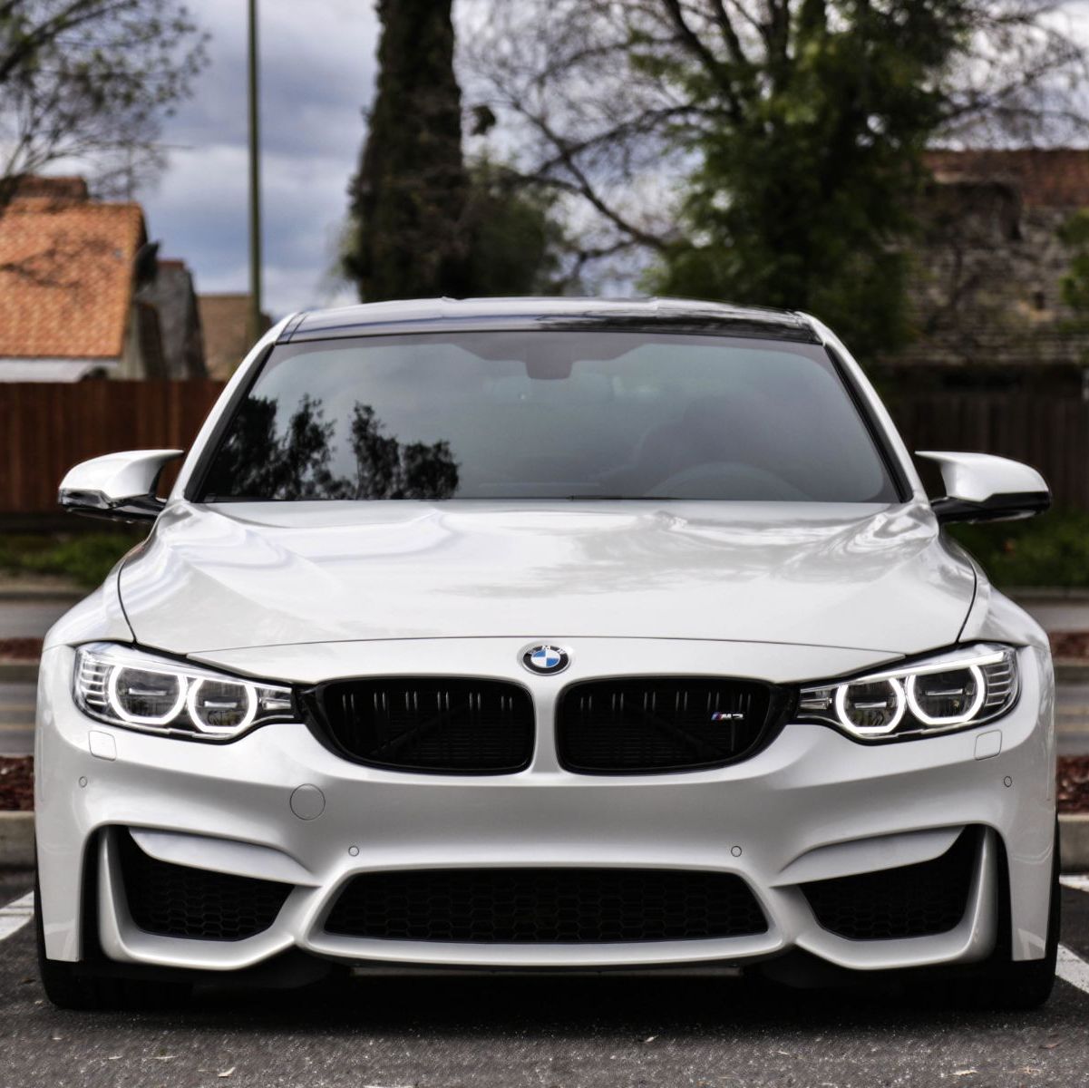 Profile of Steven Nguyen