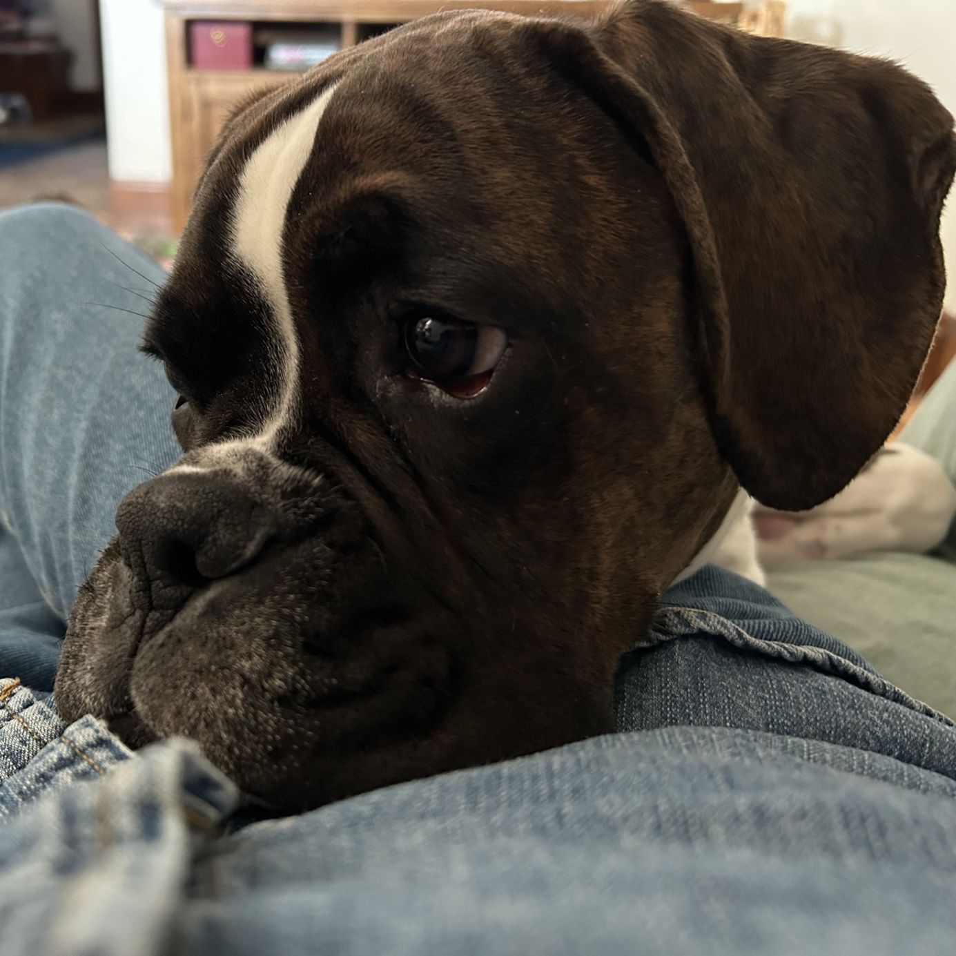 Profile of Joseph Hennies