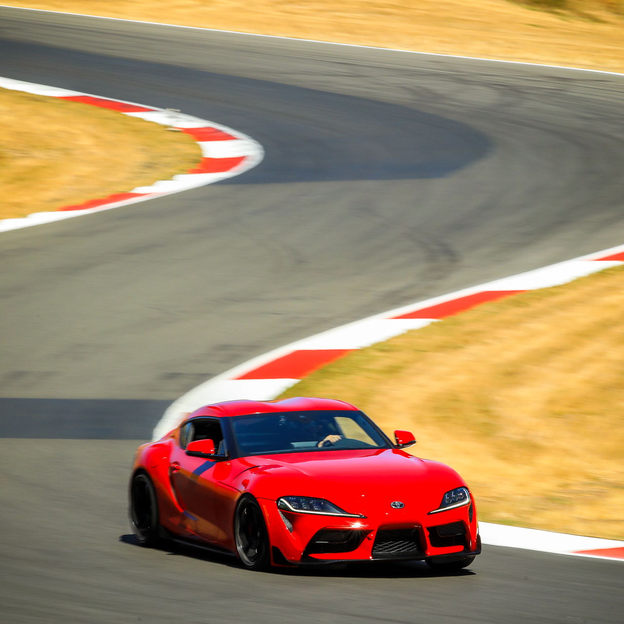 Profile of Michael Sipes