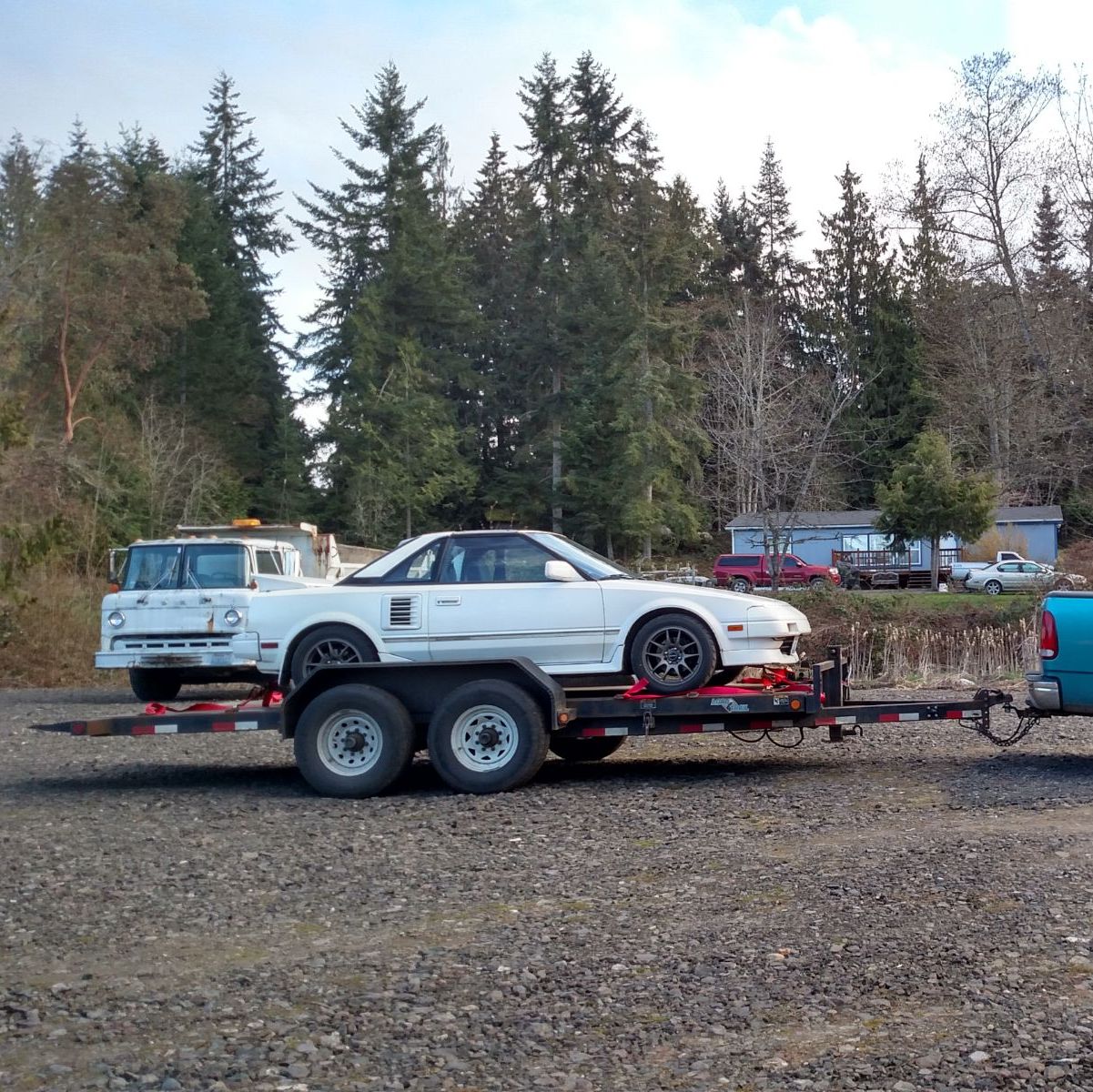 Profile of Shawn Swanson