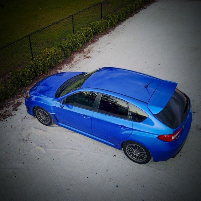 Profile of David Walton