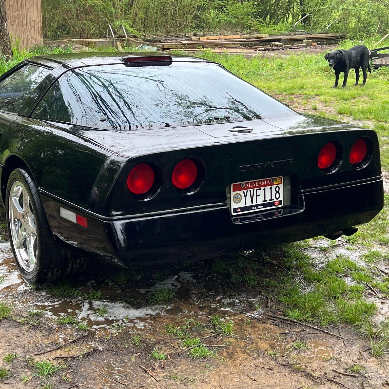 Profile of Brian Brick