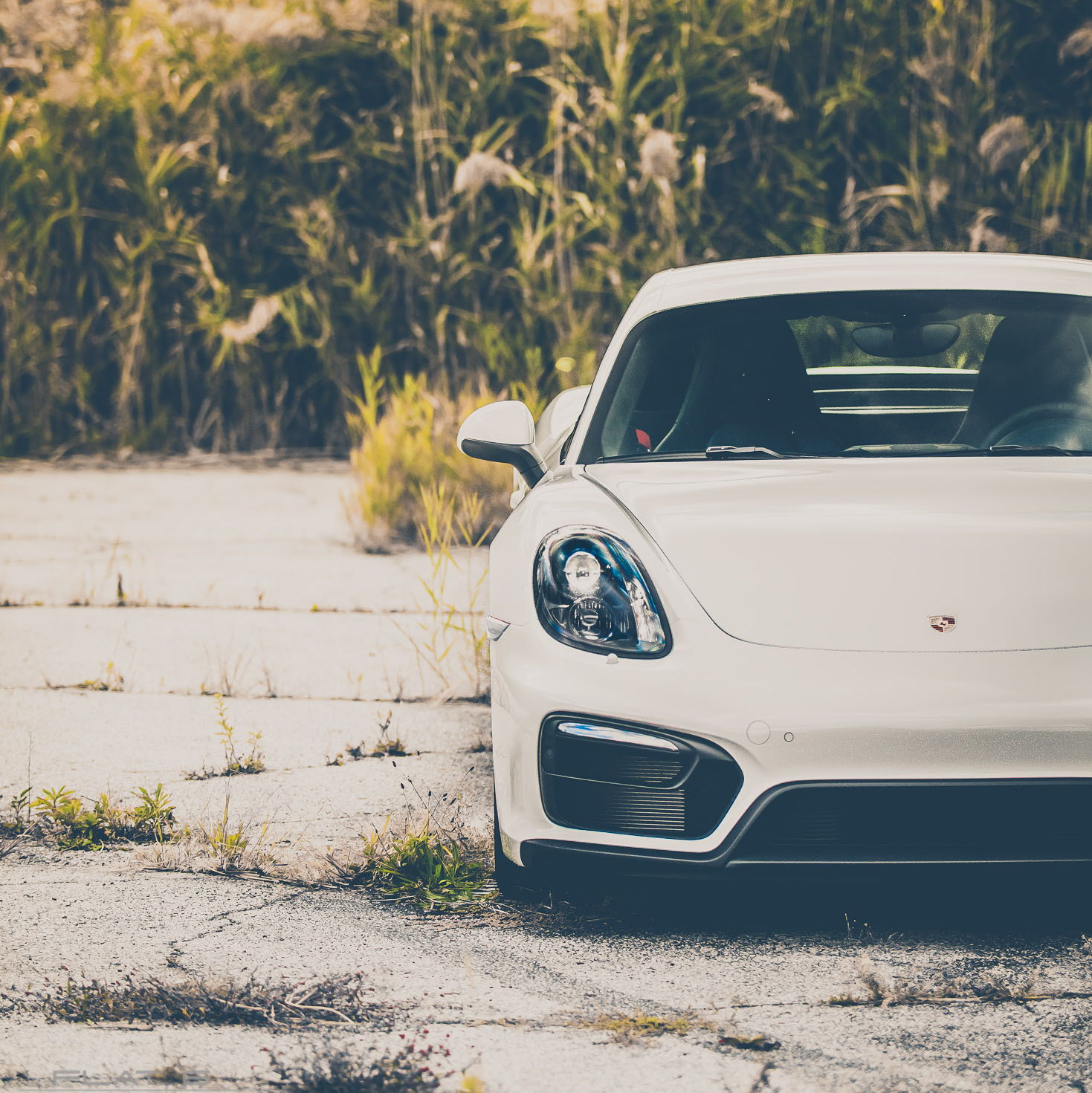 Profile of Jibran Ahmed