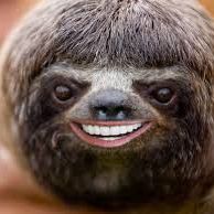 Profile of Jill Goodman