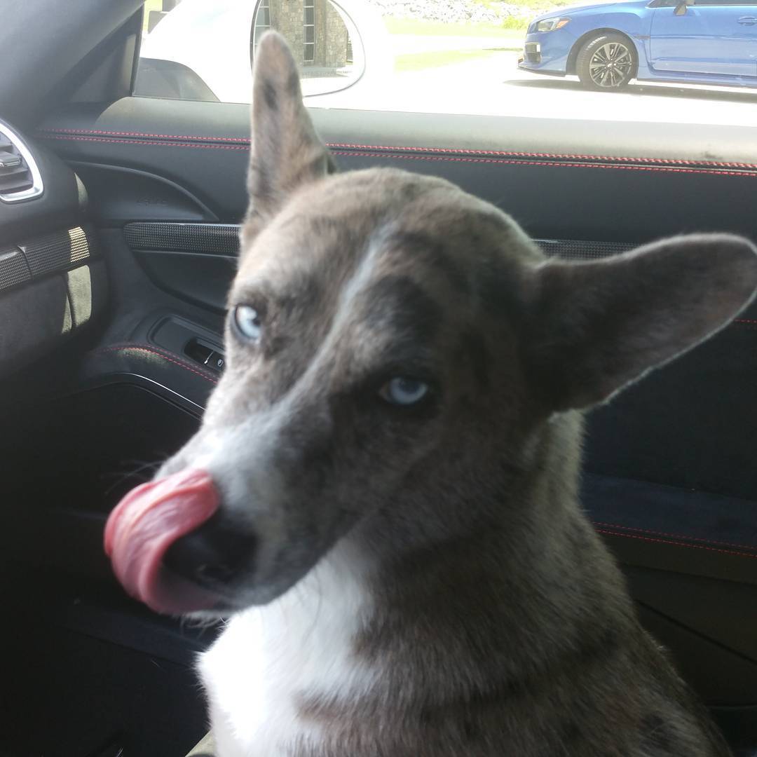 Profile of Max Hellman