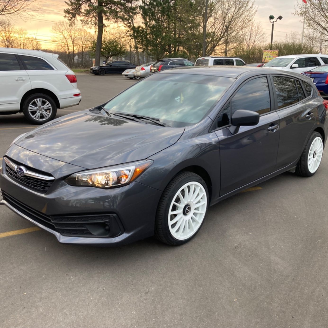 Profile of Devon Clees