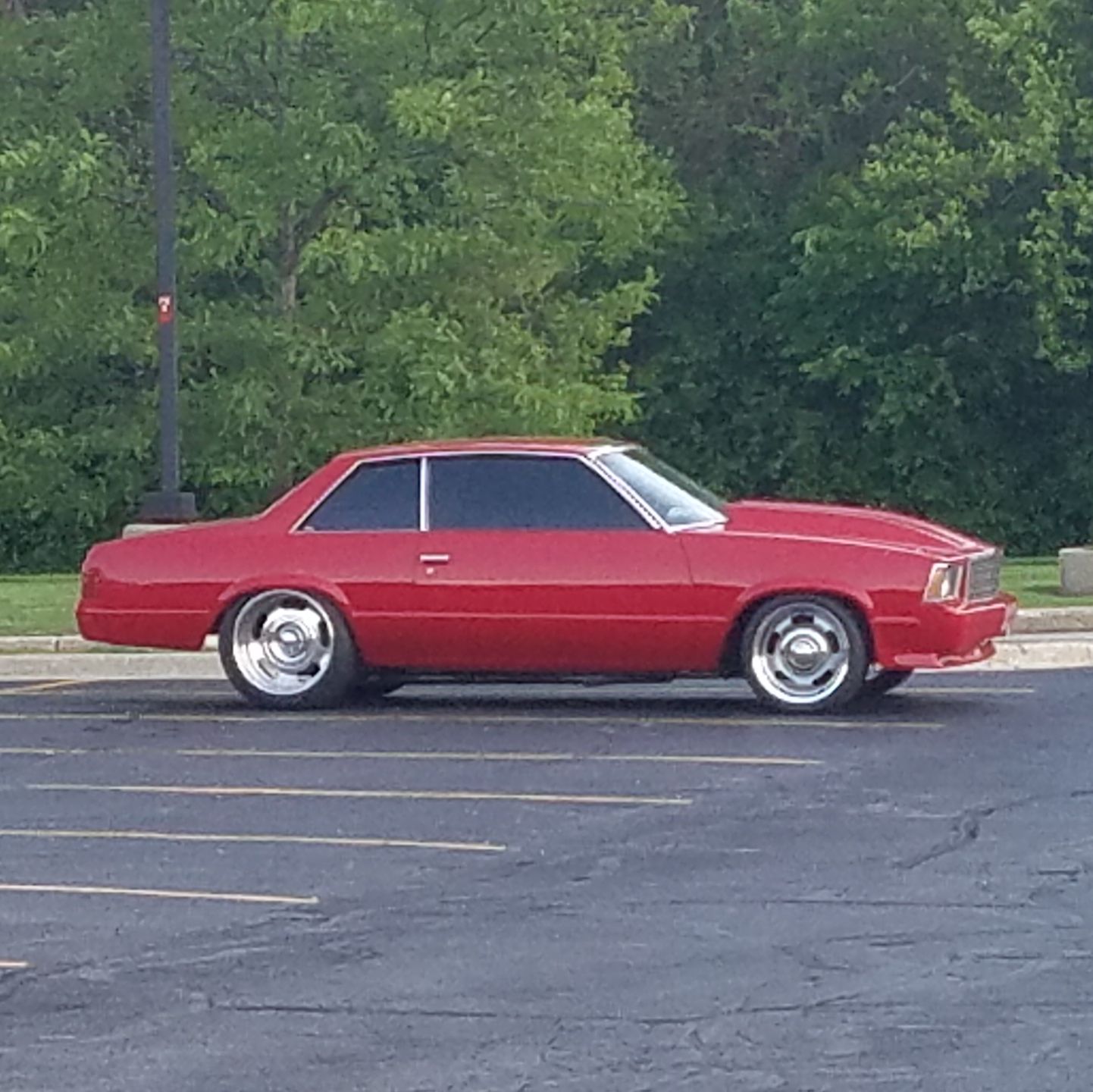 Profile of Tom Doonan