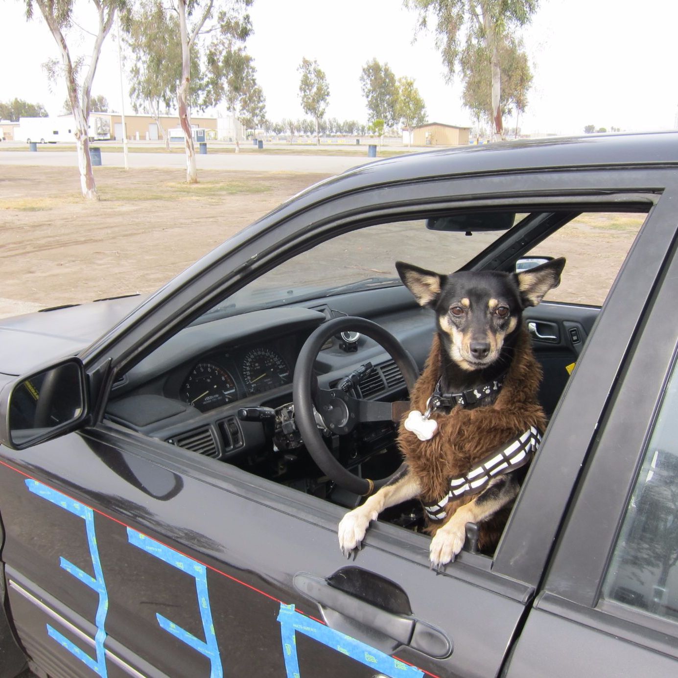 Profile of Jake Olson