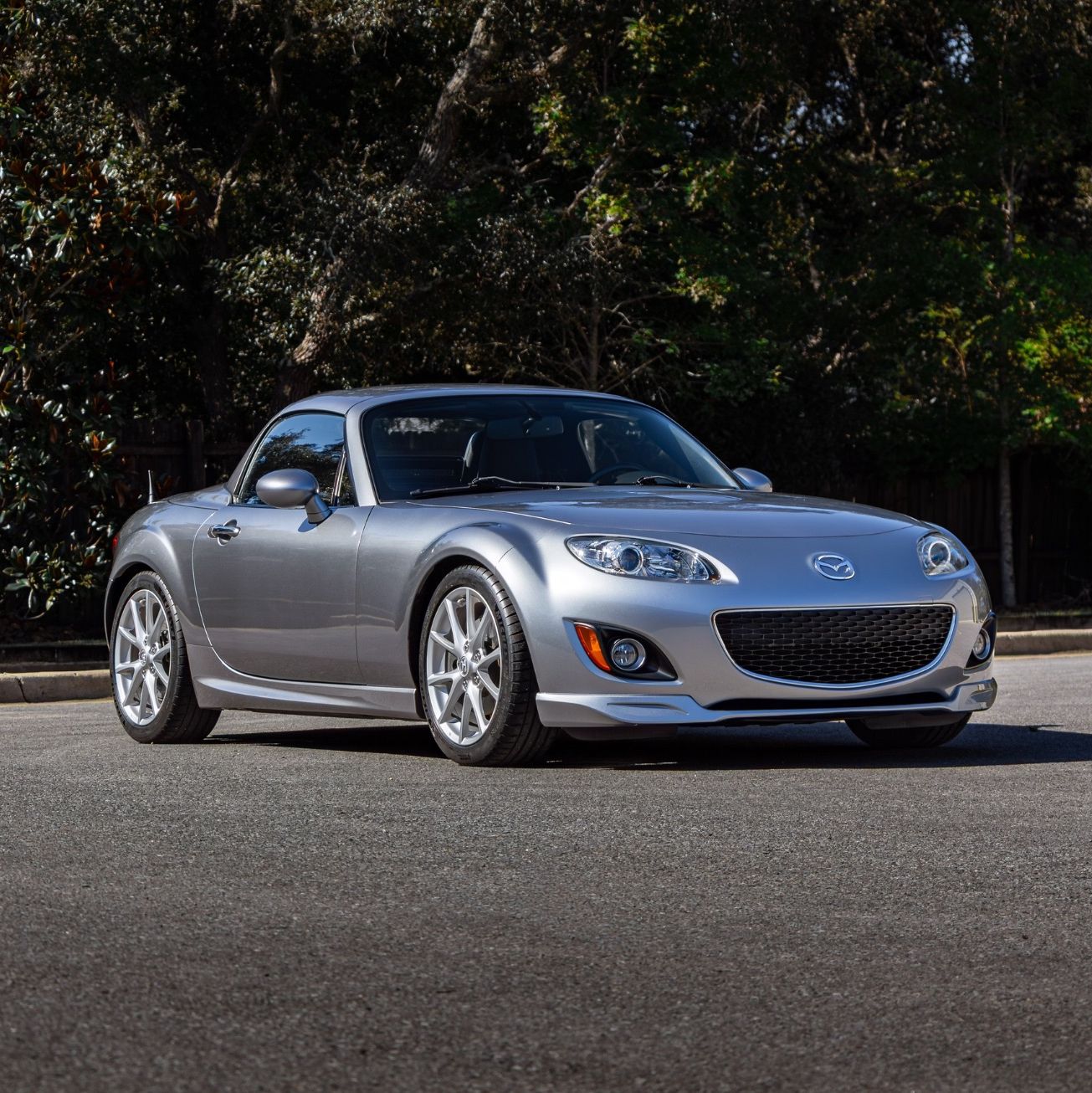 Profile of Joe Longo