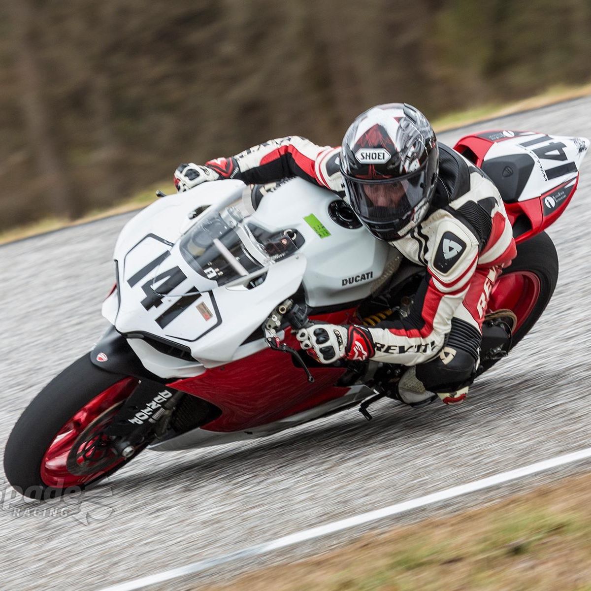 Profile of Terry Williams