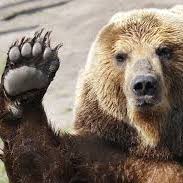 Profile of John Yoder