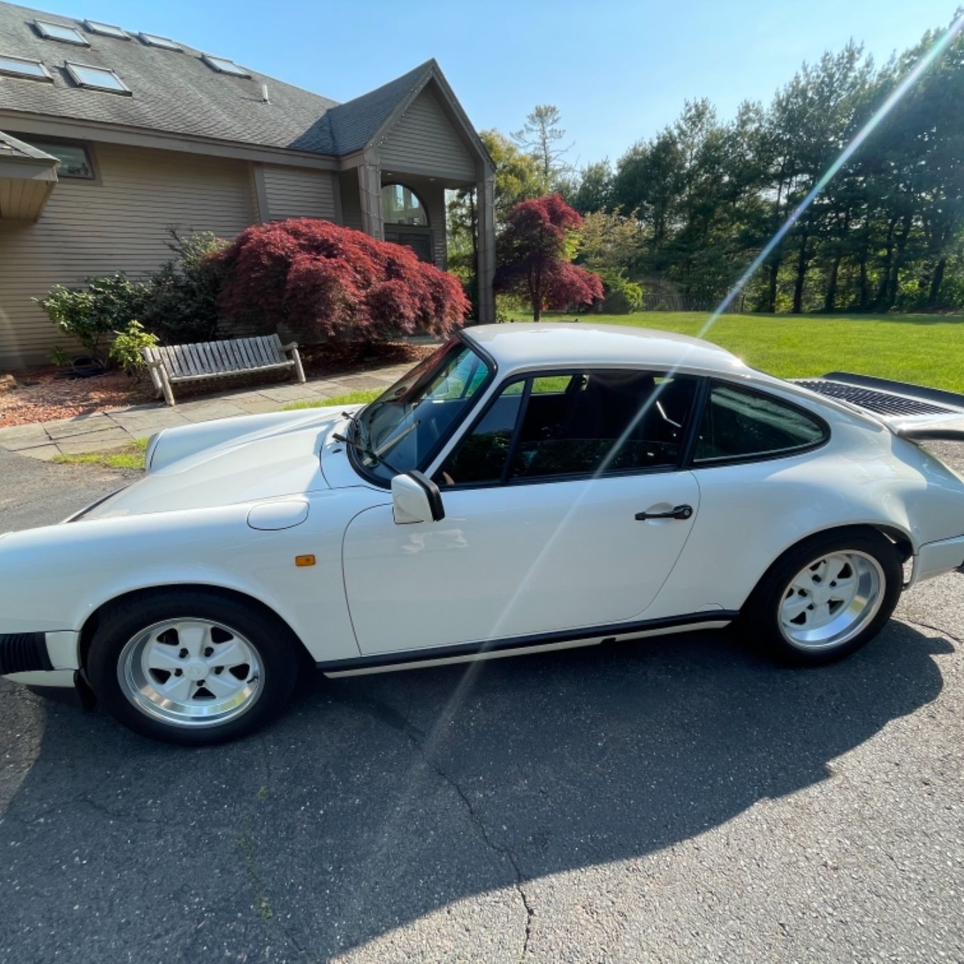 Profile of Toni Fishman