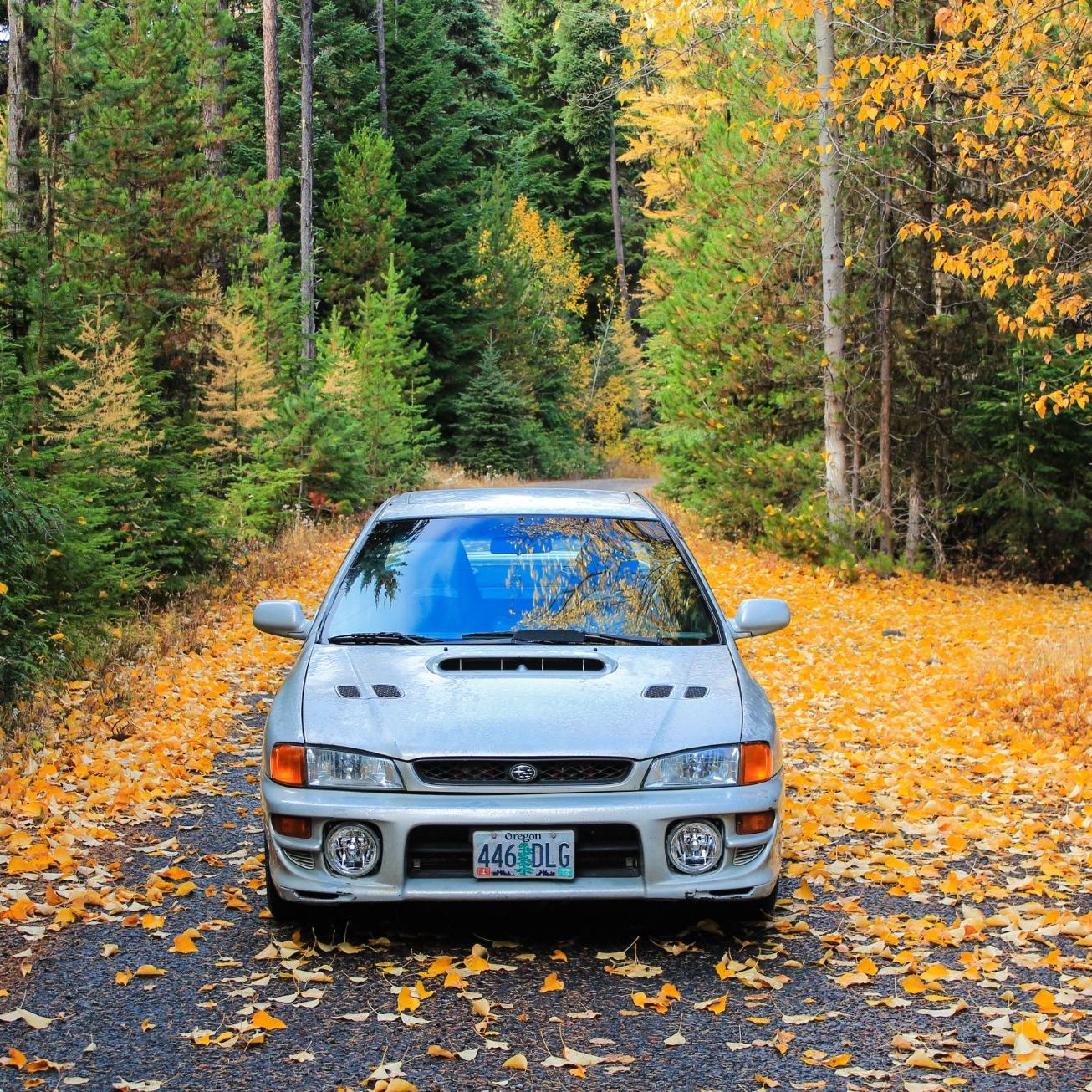 Profile of Anthony Campbell