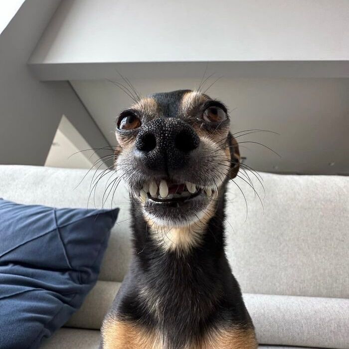 Profile of Hayden Jones