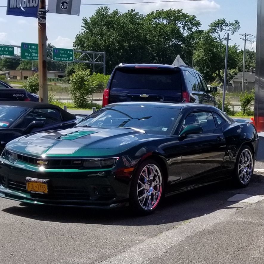 Profile of Ed Bradtree