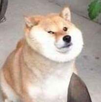 Profile of Jay Inohara