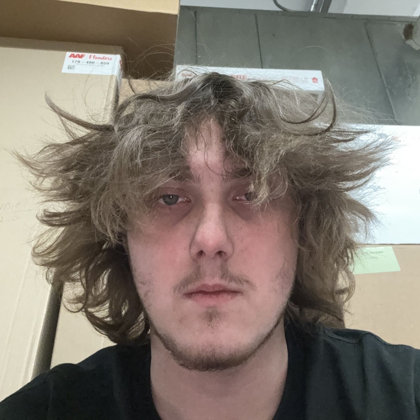 Profile of Dan Sloan