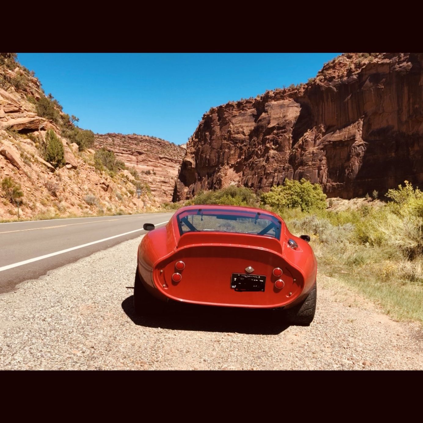 Profile of Bill Reed