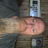 Profile of Scott Nicholson