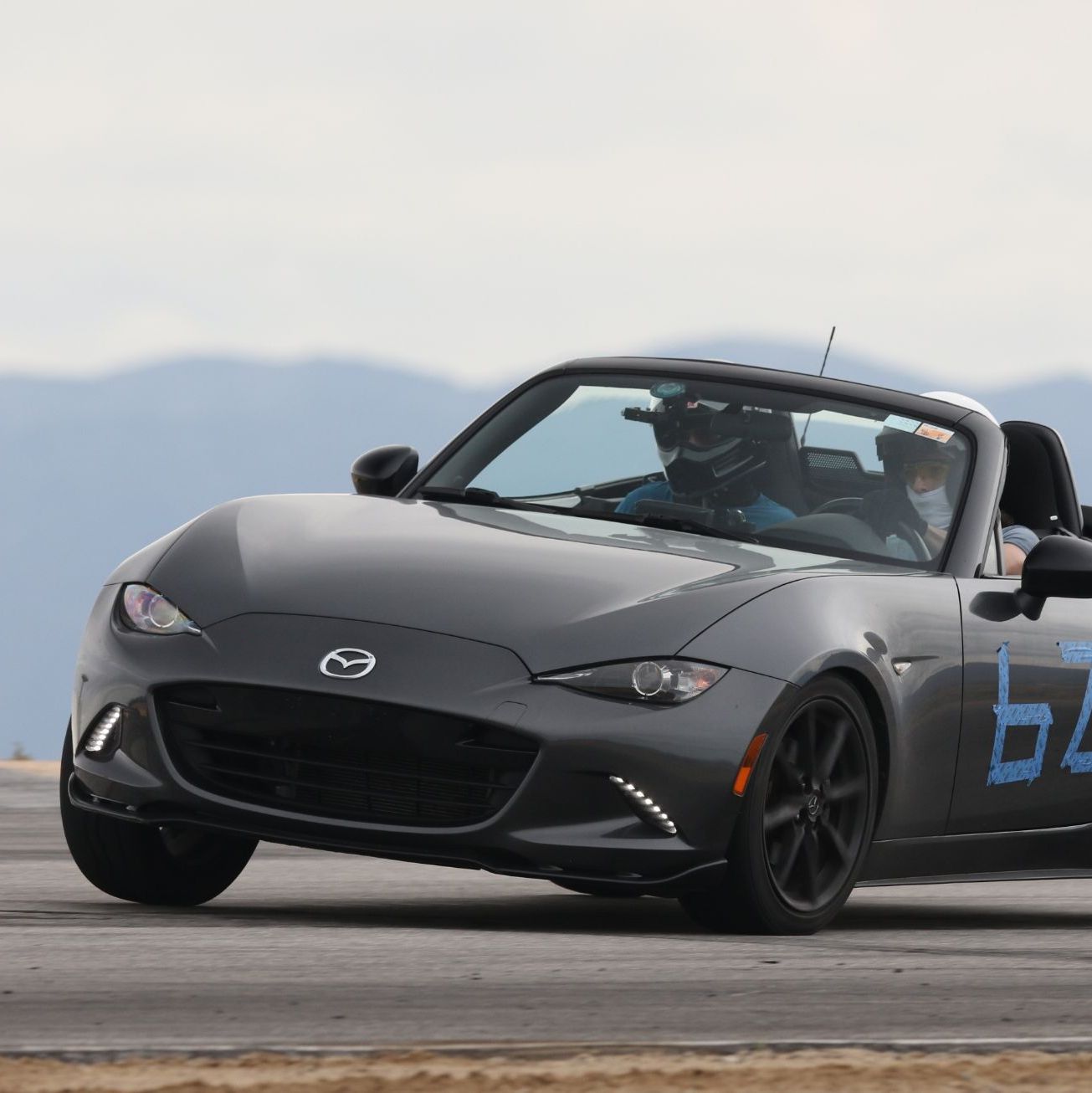 Profile of Shane Teel